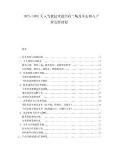 2025-2030無(wú)人駕駛技術(shù)提供商市場(chǎng)競(jìng)爭(zhēng)態(tài)勢(shì)與產(chǎn)業(yè)發(fā)展規(guī)劃