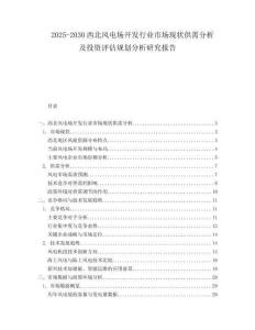 2025-2030西北風(fēng)電場開發(fā)行業(yè)市場現(xiàn)狀供需分析及投資評估規(guī)劃分析研究報告