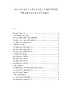 2025-2030無人駕駛車載感知系統(tǒng)市場供需分析及智能交通系統(tǒng)投資前景評估報告