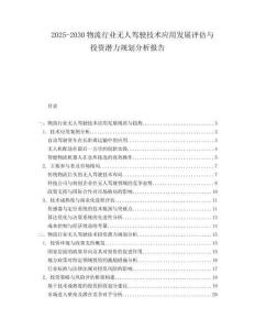 2025-2030物流行業(yè)無(wú)人駕駛技術(shù)應(yīng)用發(fā)展評(píng)估與投資潛力規(guī)劃分析報(bào)告