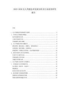 2025-2030無(wú)人駕駛技術(shù)發(fā)展分析及行業(yè)前景研究報(bào)告