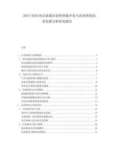 2025-2030西北部地區(qū)地?zé)豳Y源開發(fā)與高效利用技術(shù)發(fā)展分析研究報告