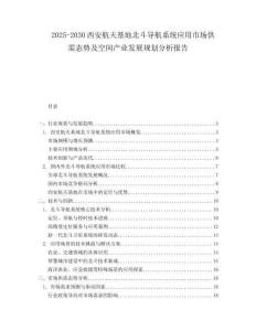 2025-2030西安航天基地北斗導(dǎo)航系統(tǒng)應(yīng)用市場(chǎng)供需態(tài)勢(shì)及空間產(chǎn)業(yè)發(fā)展規(guī)劃分析報(bào)告