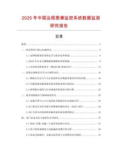 2025年中國遠程圖像監控系統數據監測研究報告