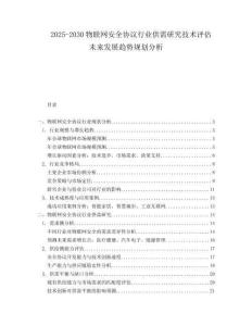 2025-2030物聯(lián)網(wǎng)安全協(xié)議行業(yè)供需研究技術(shù)評(píng)估未來(lái)發(fā)展趨勢(shì)規(guī)劃分析