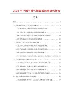 2025年中國手推氣筒數據監測研究報告