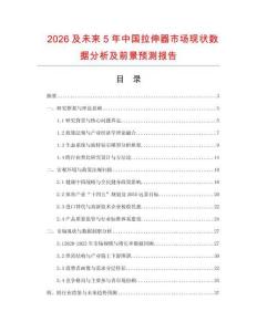 2026及未來(lái)5年中國(guó)拉伸器市場(chǎng)現(xiàn)狀數(shù)據(jù)分析及前景預(yù)測(cè)報(bào)告