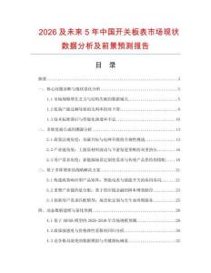 2026及未來5年中國開關板表市場現狀數據分析及前景預測報告