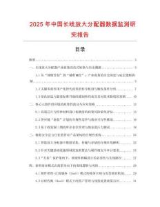 2025年中國長線放大分配器數據監測研究報告
