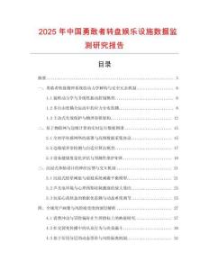 2025年中國勇敢者轉盤娛樂設施數據監測研究報告