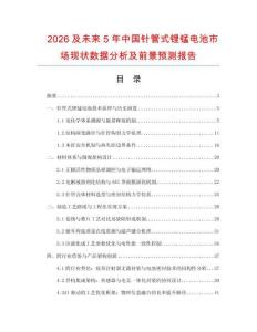 2026及未來5年中國針管式鋰錳電池市場現(xiàn)狀數(shù)據(jù)分析及前景預(yù)測報告
