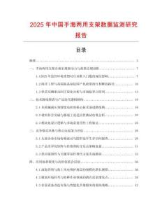 2025年中國手海兩用支架數據監測研究報告