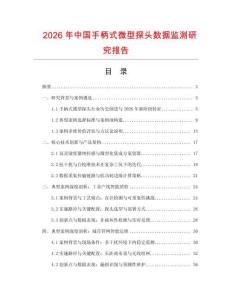 2026年中國手柄式微型探頭數(shù)據(jù)監(jiān)測研究報(bào)告