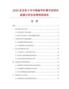 2026及未來5年中國盔甲護罩市場現狀數據分析及前景預測報告