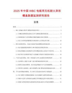 2025年中國WBC電纜用無機耐火異形槽盒數據監測研究報告
