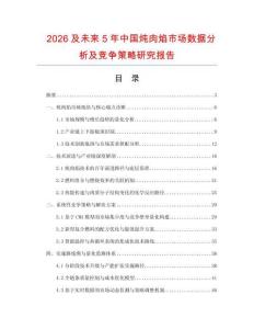 2026及未來5年中國燉肉焰市場數(shù)據(jù)分析及競爭策略研究報告