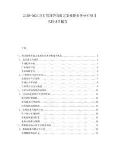 2025-2030項(xiàng)目管理咨詢(xún)?cè)兎桨覆僮鳂I(yè)務(wù)分析項(xiàng)目風(fēng)險(xiǎn)評(píng)估報(bào)告