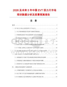 2026及未來5年中國EVT扭力尺市場現(xiàn)狀數(shù)據(jù)分析及前景預(yù)測報告