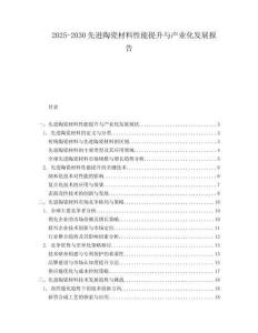 2025-2030先進陶瓷材料性能提升與產(chǎn)業(yè)化發(fā)展報告
