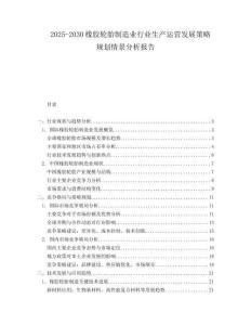 2025-2030橡膠輪胎制造業(yè)行業(yè)生產(chǎn)運(yùn)營發(fā)展策略規(guī)劃情景分析報(bào)告