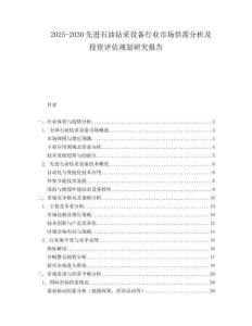 2025-2030先進石油鉆采設(shè)備行業(yè)市場供需分析及投資評估規(guī)劃研究報告