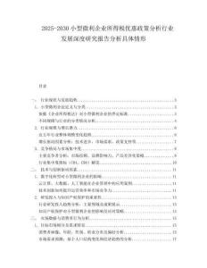 2025-2030小型微利企業(yè)所得稅優(yōu)惠政策分析行業(yè)發(fā)展深度研究報(bào)告分析具體情形