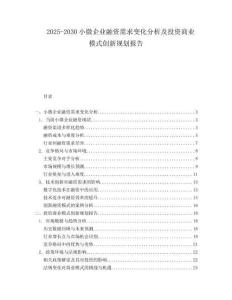 2025-2030小微企業(yè)融資需求變化分析及投資商業(yè)模式創(chuàng)新規(guī)劃報(bào)告