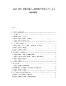 2025-2030先鋒科技企業(yè)股權(quán)融資策略研究與發(fā)展路徑規(guī)劃