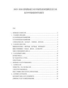 2025-2030系統(tǒng)集成行業(yè)市場需求深度解讀及行業(yè)競爭環(huán)境現(xiàn)狀研究報告