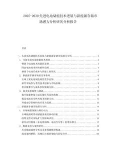 2025-2030先進(jìn)電池儲(chǔ)能技術(shù)進(jìn)展與新能源存儲(chǔ)市場(chǎng)潛力分析研究分析報(bào)告