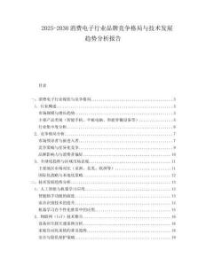 2025-2030消費(fèi)電子行業(yè)品牌競爭格局與技術(shù)發(fā)展趨勢分析報(bào)告