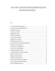 2025-2030小農(nóng)經(jīng)濟合作組織運營模式研究及鄉(xiāng)村振興投資價值評估報告