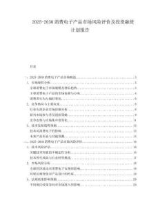 2025-2030消費電子產(chǎn)品市場風險評價及投資融資計劃報告