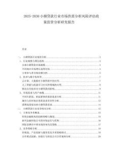 2025-2030小額貸款行業(yè)市場供需分析風(fēng)險評估政策監(jiān)管分析研究報告