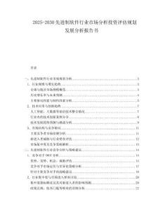 2025-2030先進(jìn)制軟件行業(yè)市場分析投資評估規(guī)劃發(fā)展分析報告書