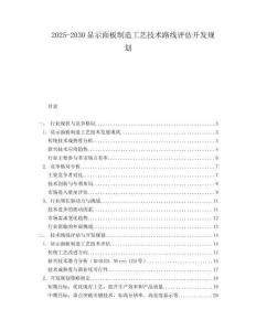 2025-2030顯示面板制造工藝技術(shù)路線評(píng)估開(kāi)發(fā)規(guī)劃