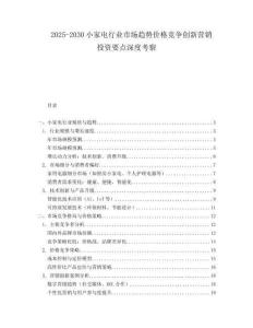 2025-2030小家電行業(yè)市場(chǎng)趨勢(shì)價(jià)格競(jìng)爭(zhēng)創(chuàng)新營(yíng)銷投資要點(diǎn)深度考察