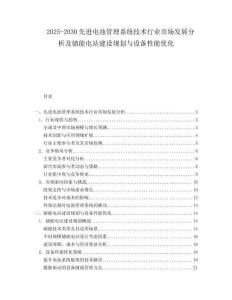 2025-2030先進(jìn)電池管理系統(tǒng)技術(shù)行業(yè)市場(chǎng)發(fā)展分析及儲(chǔ)能電站建設(shè)規(guī)劃與設(shè)備性能優(yōu)化