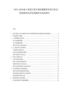 2025-2030線下商業行業市場供應轉型供需分析及投資精準化評估規劃研究深度報告