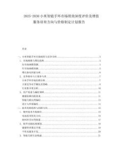 2025-2030小米智能手環(huán)市場績效深度評價及增值服務(wù)培育方向與價格制定計劃報告
