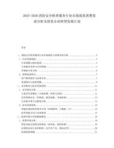 2025-2030消防安全檢查服務(wù)行業(yè)市場現(xiàn)狀消費需求分析及投資企業(yè)轉(zhuǎn)型發(fā)展計劃