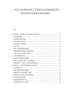 2025-2030鞋材紡織工藝環(huán)保行業(yè)市場現狀供需分析及投資評估規(guī)劃分析研究報告