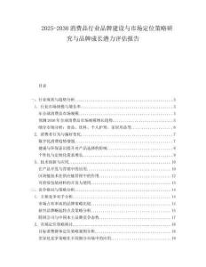 2025-2030消費品行業(yè)品牌建設(shè)與市場定位策略研究與品牌成長潛力評估報告