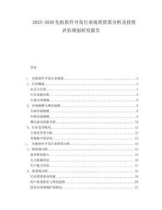 2025-2030先機軟件開發(fā)行業(yè)現(xiàn)狀供需分析及投資評估規(guī)劃研究報告