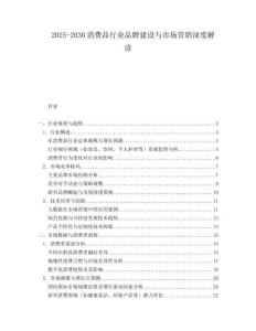 2025-2030消費品行業(yè)品牌建設(shè)與市場營銷深度解讀