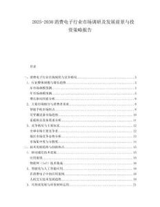 2025-2030消費電子行業(yè)市場調研及發(fā)展前景與投資策略報告