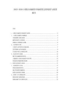 2025-2030小微企業(yè)融資市場(chǎng)政策支持現(xiàn)狀與展望報(bào)告