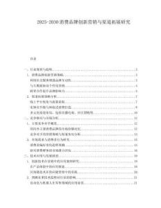 2025-2030消費品牌創(chuàng)新營銷與渠道拓展研究