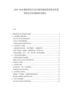 2025-2030橡膠制品行業(yè)市場(chǎng)發(fā)展趨勢(shì)供需分析投資機(jī)會(huì)評(píng)估規(guī)劃研究報(bào)告