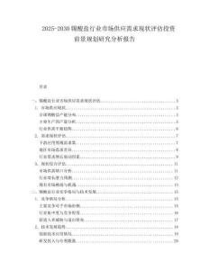 2025-2030錫酸鹽行業(yè)市場(chǎng)供應(yīng)需求現(xiàn)狀評(píng)估投資前景規(guī)劃研究分析報(bào)告